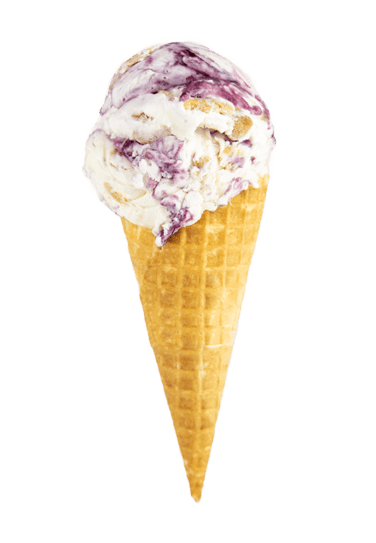 blueberry cheesecake